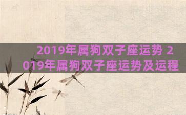 2019年属狗双子座运势 2019年属狗双子座运势及运程